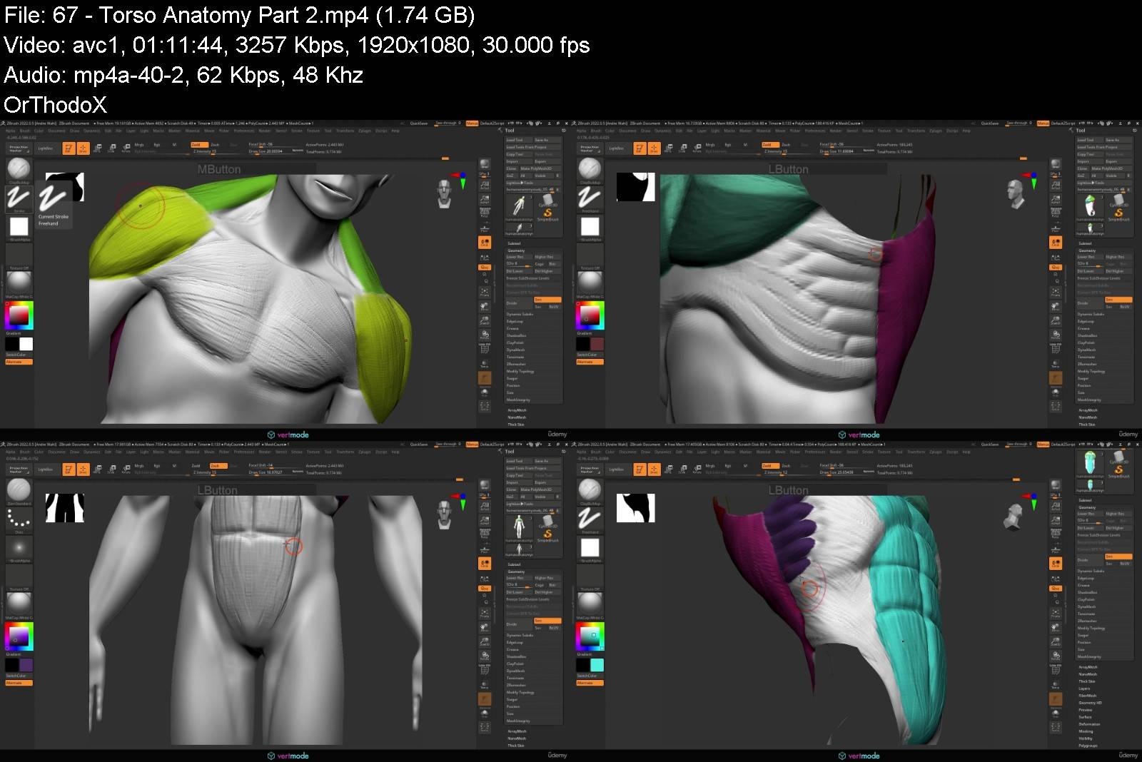 487629099_mastering_human_anatomy_for_3d_artists.jpg