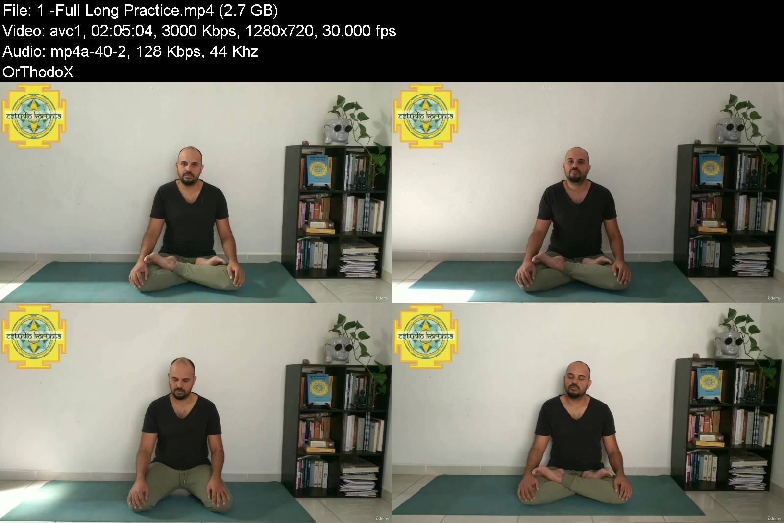 _kriya_yoga_a_complete_guide_-_yoga_alliance_yacep.jpg