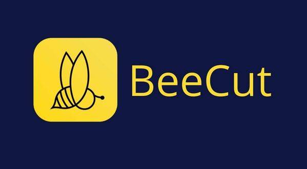 beeceo-1rbjp2.jpg