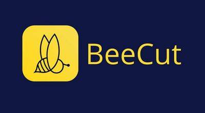 beeceo-1rbjp2d2jn9.jpg