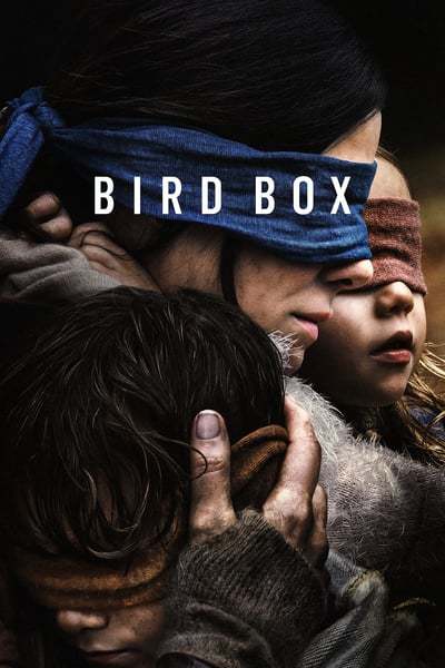 bird.box.2018.german.61kja.jpg