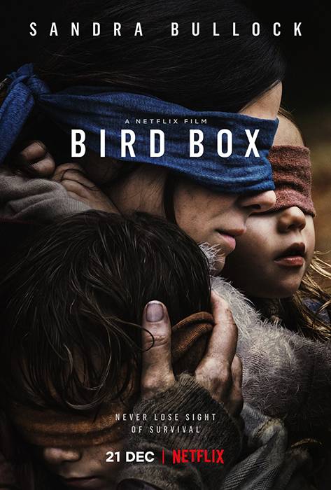 birdboxwebdyirn.jpg