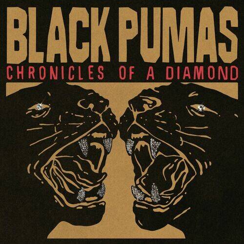 blackpumas-chronicles22fso.jpg