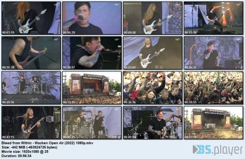 bleed-from-within-wacken-open-air-2022-1080p_idx.jpg