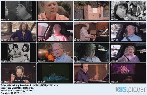 brianwilsonlongpromisedroad2021bdrip.jpg