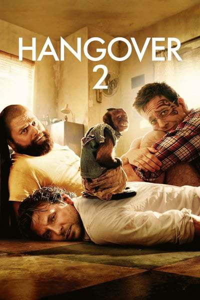 hangover.2.2011.germar9kiw.jpg