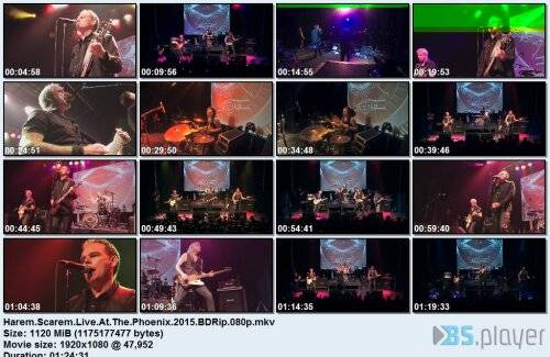 haremscaremliveatthephoenix2015bdrip.jpg