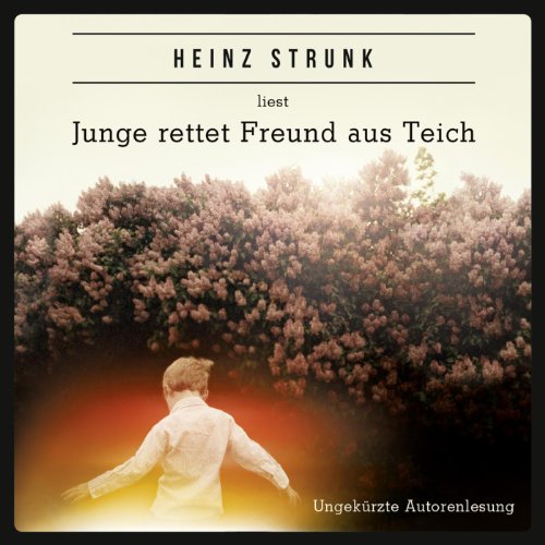 Junge rettet Freund aus Teich (2013) - cover.jpg