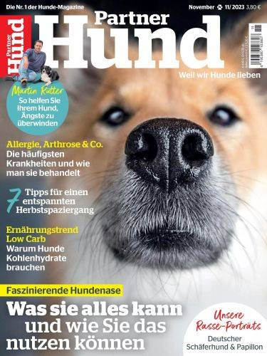 Partner-Hund-November-2023.jpg