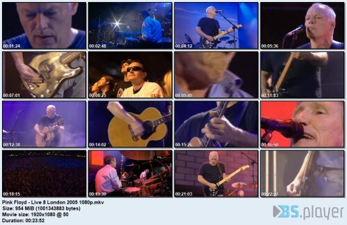 pink-floyd-live-8-london-2005-1080p_idx.jpg