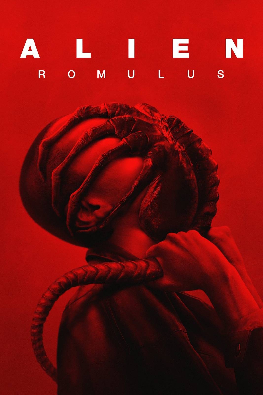 Alien Romulus 2024 kostenlos downloaden