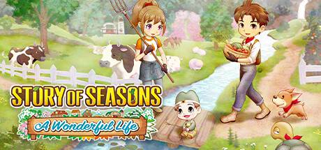 STORY-OF-SEASONS-A-Wonderful-Life.jpg