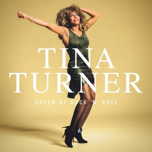 tinaturner-queenofrocvmcnm.jpg