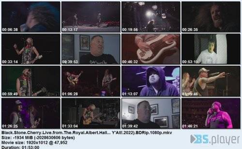 tonecherrylivefromtheroyalalberthall-yall2022bdrip.jpg