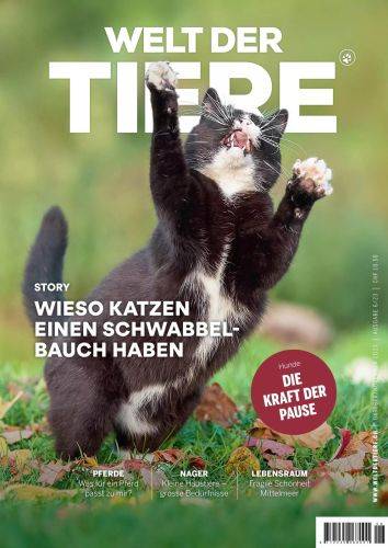 Welt-der-Tiere-Oktober-November-2023.jpg