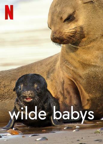 wilde-babysq2k8t.jpg